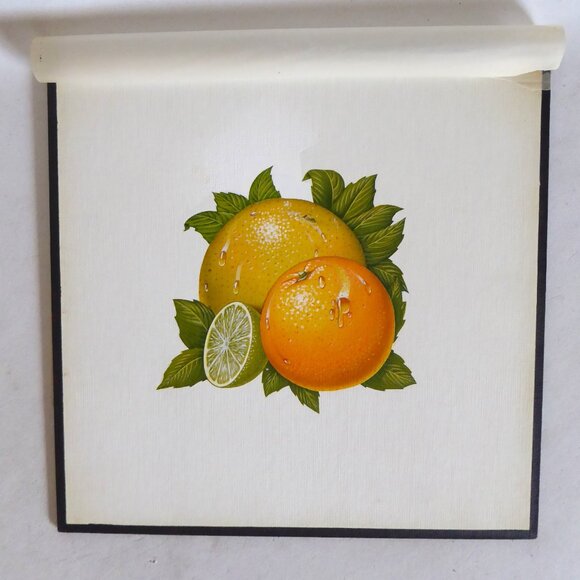OOAK ORIGINAL ARTWORK CITRUS FRUIT STILL LIFE ILLUSTRATION BY BILL HALL - Picture 1 of 4